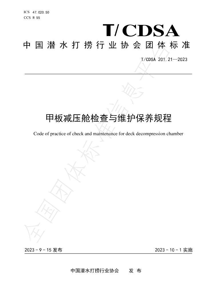 T/CDSA 201.21-2023 标准预览