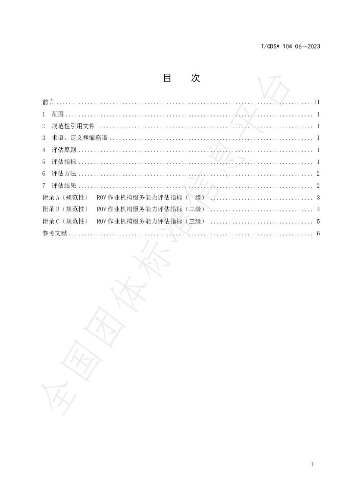 T/CDSA 104.06-2023 标准预览
