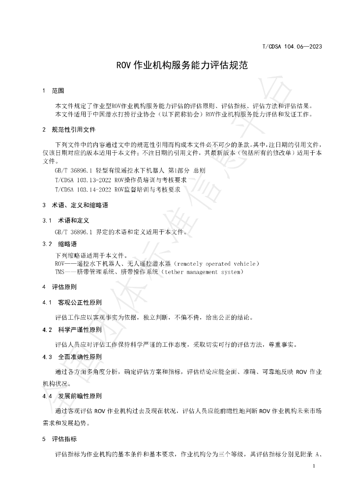 T/CDSA 104.06-2023 标准预览