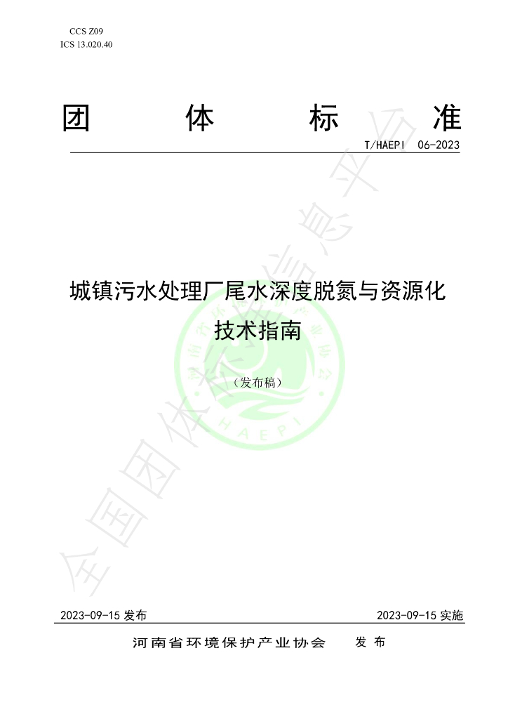 T/HAEPI 06-2023 标准预览
