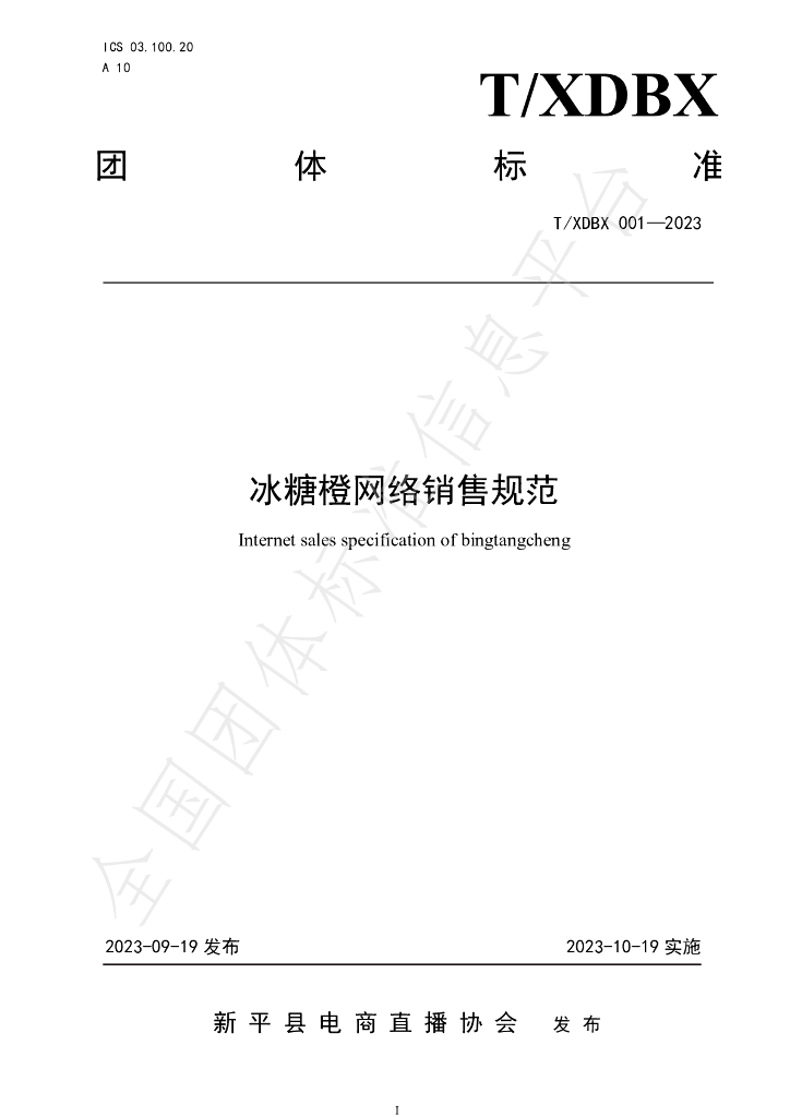 T/XDBX 001-2023 标准预览
