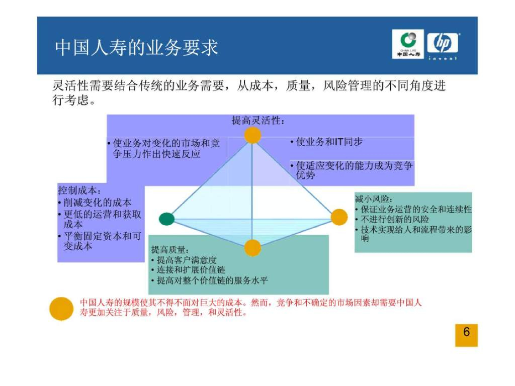 【IT报告】惠普IT战略规划：中国人寿IT战略规划项目_第6页
