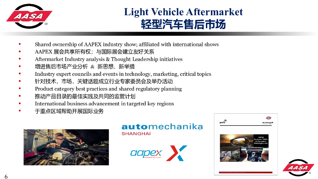 中美独立汽车后市场的挑战分析_第6页