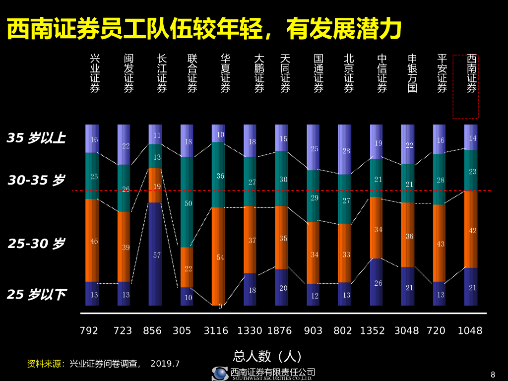 某著名证券公司人力资源发展战略_第8页