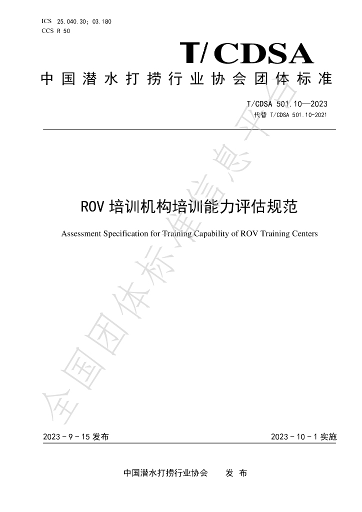 T/CDSA 501.10-2023 标准预览