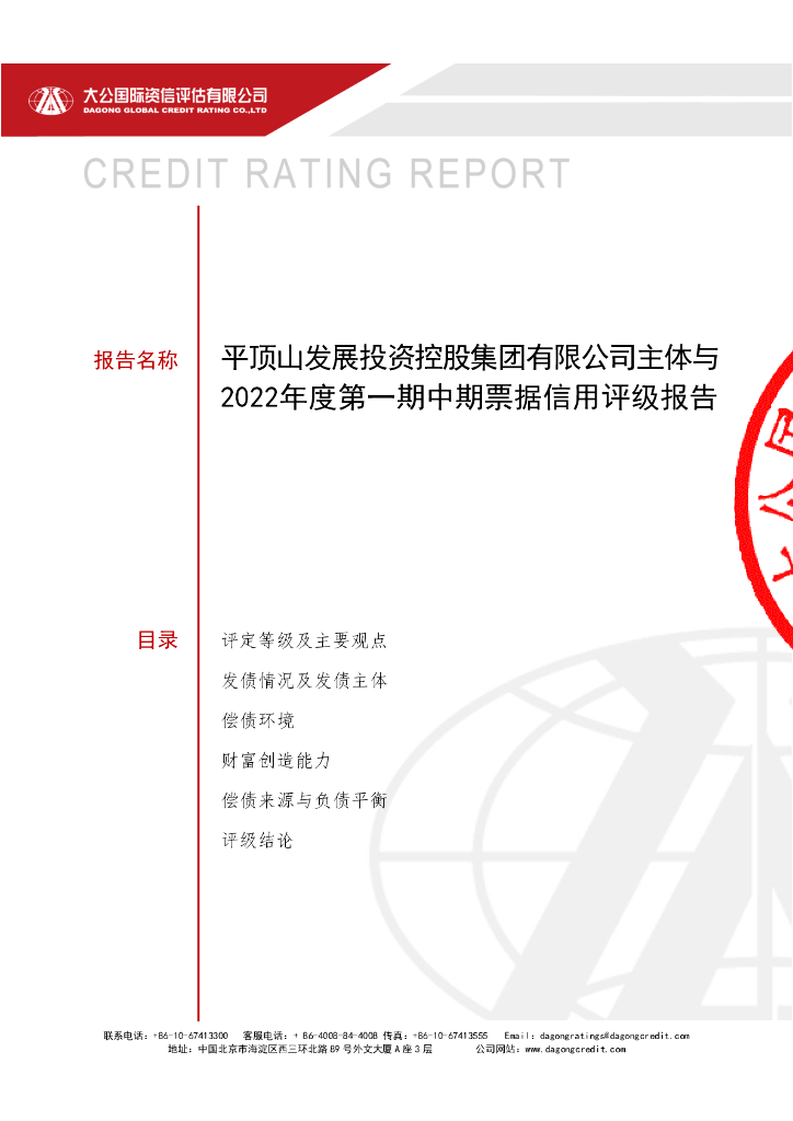 大公：平顶山发展投资控股集团有限公司评级报告