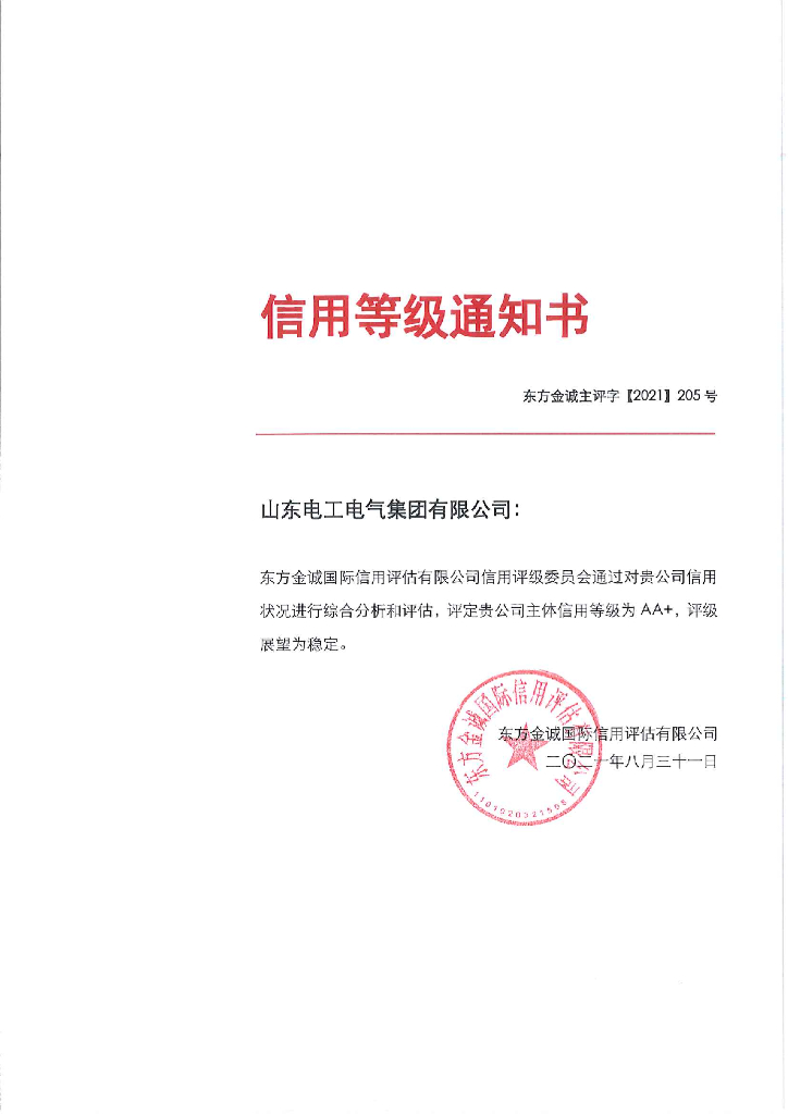 东方金诚：山东电工电气集团有限公司主体信用评级报告