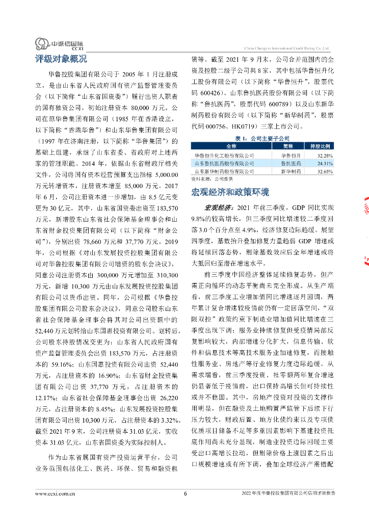 中诚信：华鲁控股集团有限公司主体信用评级报告及跟踪评级安排_第6页