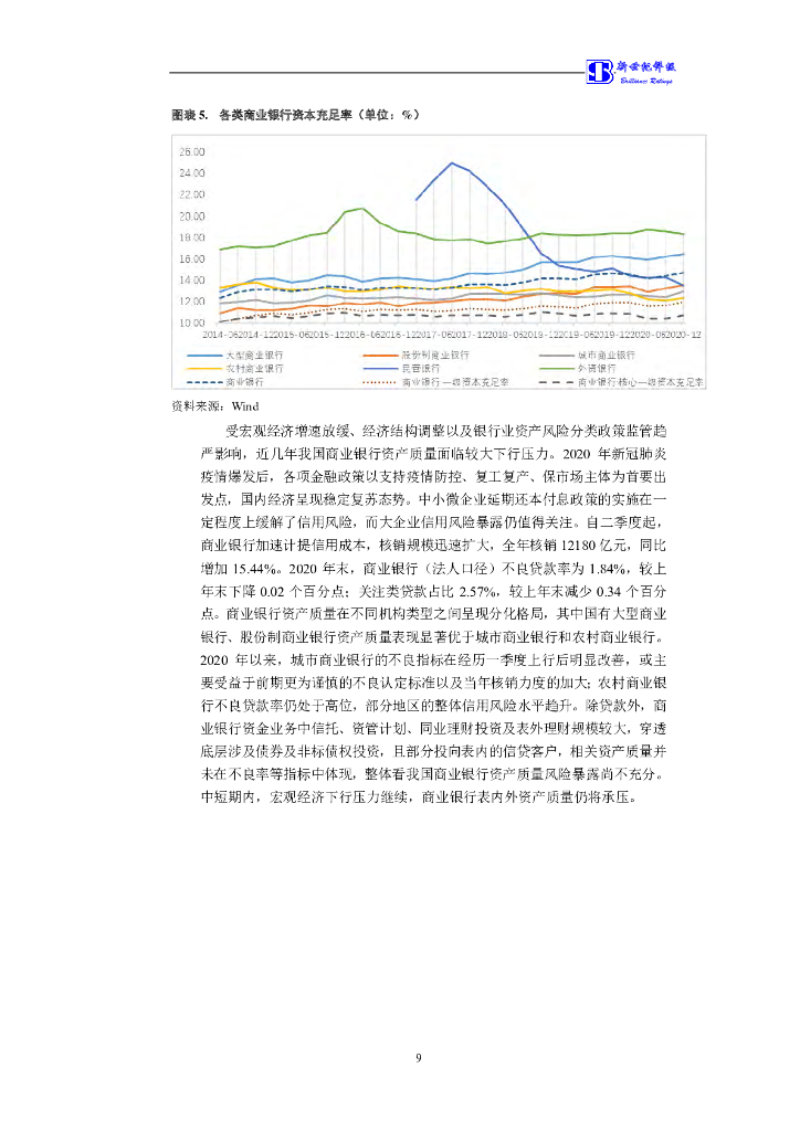 新世纪：2022年泉州银行股份有限公司小型微型企业贷款专项金融债券信用评级报告及跟踪评级安排_第10页