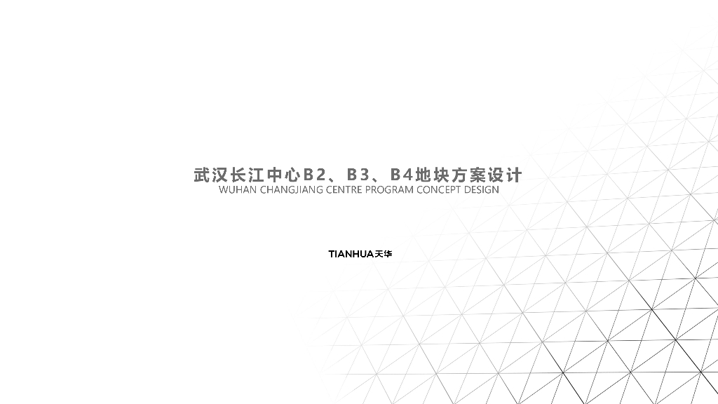 [湖北]长江中心公建化超高层滨江居住方案