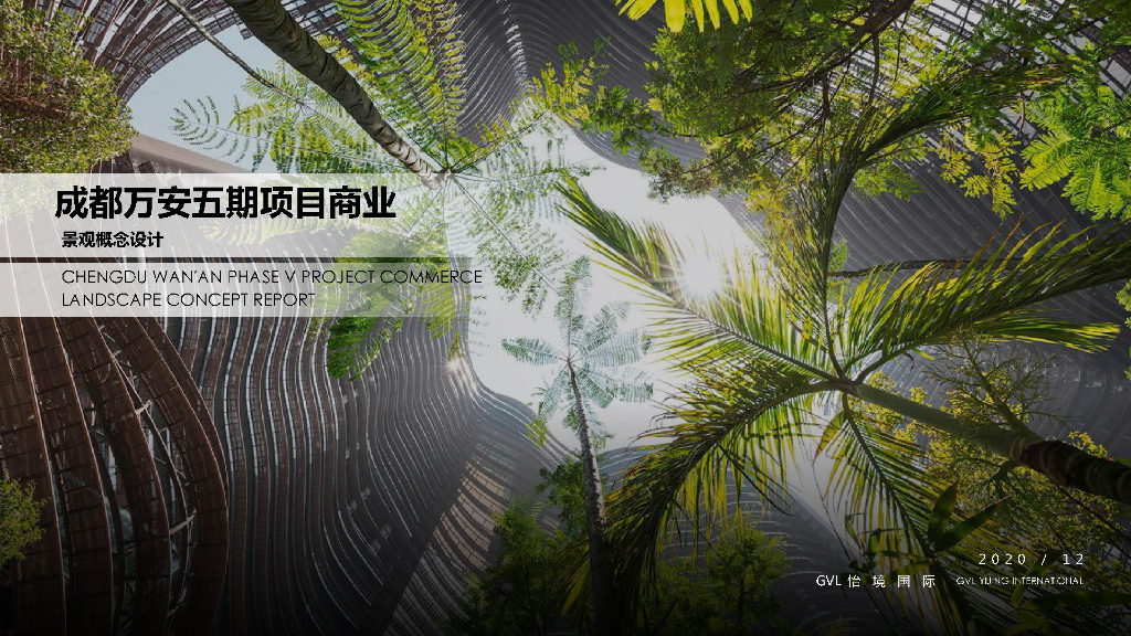 [四川]成都某热带雨林风情商业地块方案PDF