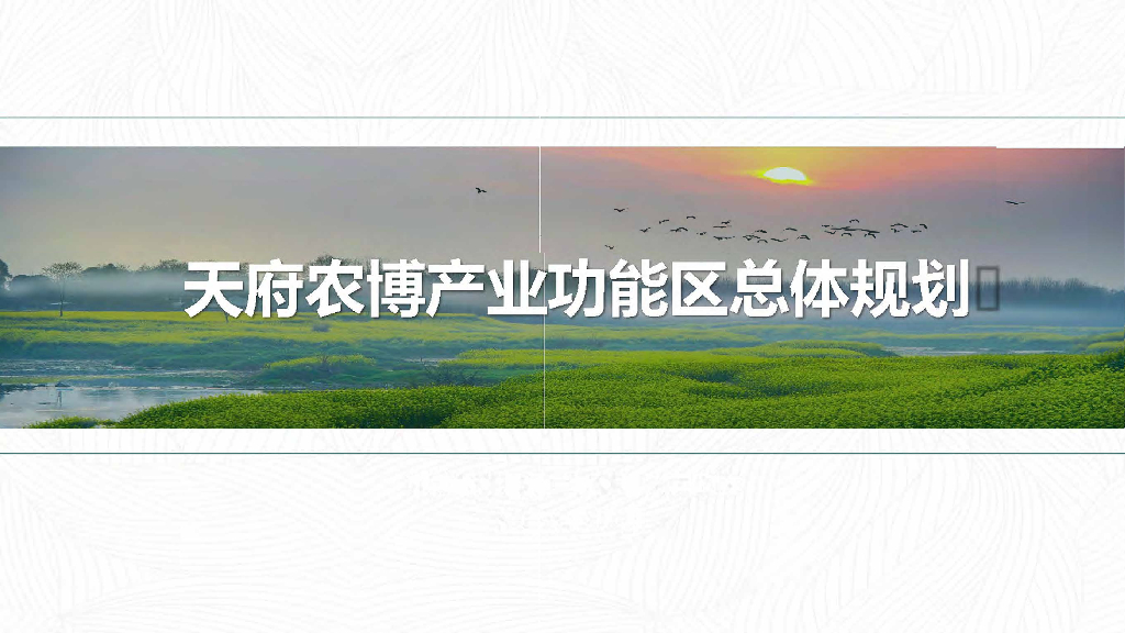 [四川]成都天府农业产业园总体规划设计PDF
