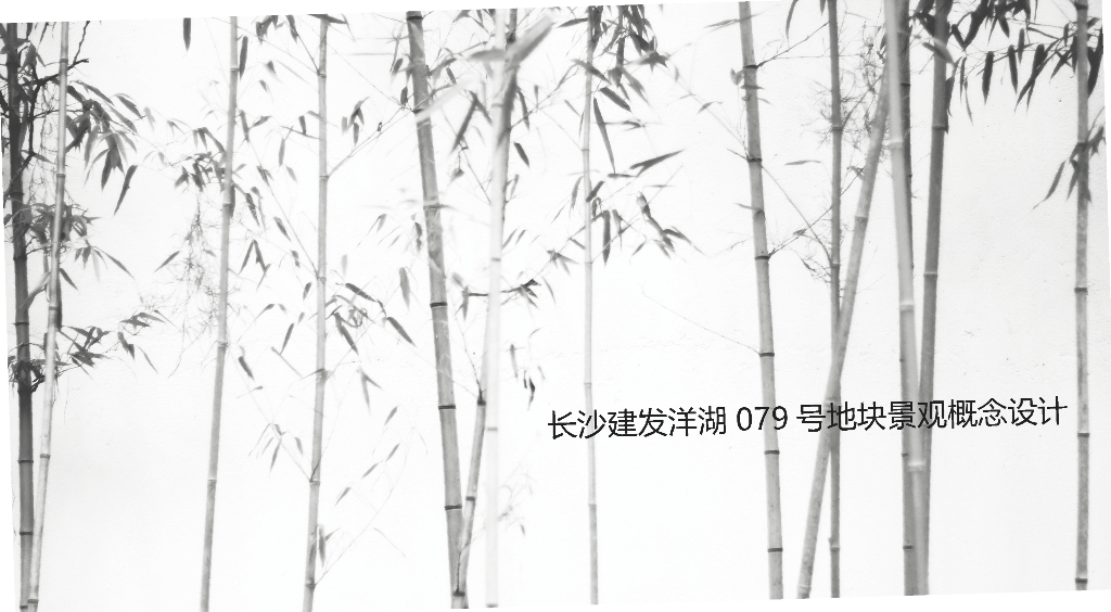 现代传统园林风格住宅示范区景观概念设计