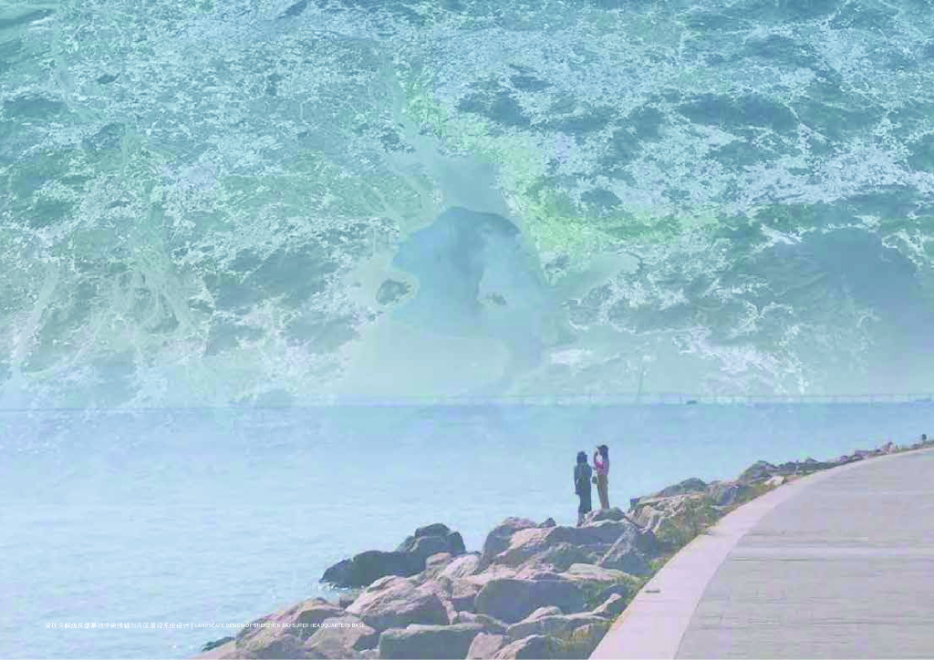 深圳湾超级总部基地中央绿轴与片区景观系统设计国际咨询_第6页