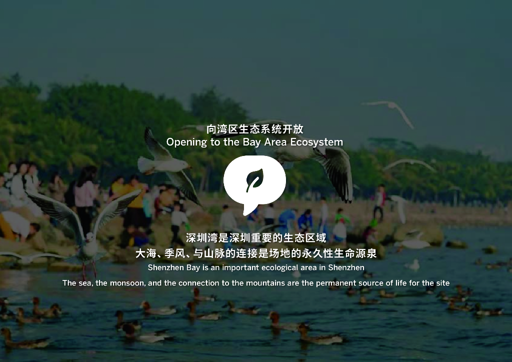 深圳湾超级总部基地中央绿轴与片区景观系统设计国际咨询_第9页