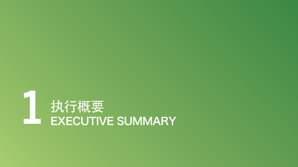 城市片区棚户区改造项目概念性愿景规划设计_第3页
