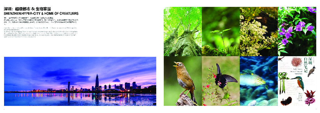 超级都市+生物家园综合性城市设计国际咨询_第5页