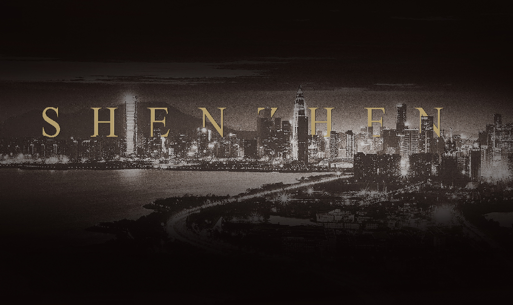 [广东]深圳华侨城瑞湾府公寓PDF设计方案_第2页