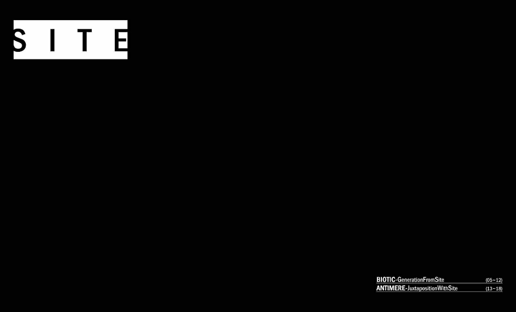 Portfolio Of Zhang Yao_第3页