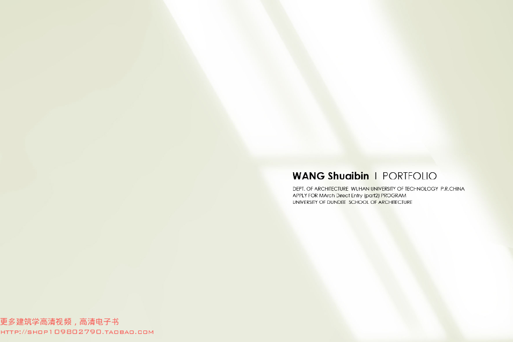 Portfolio Of Shuaibin，Wang（For Dundee）