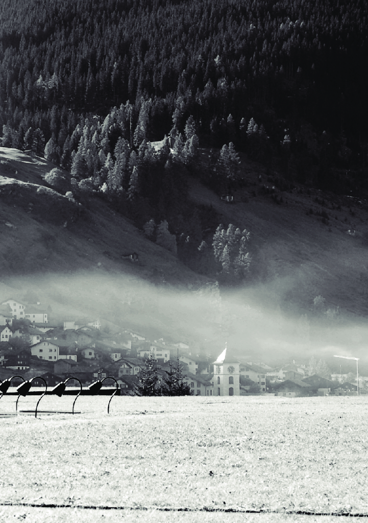 Portfolio Of Nicholas Venezia_第7页