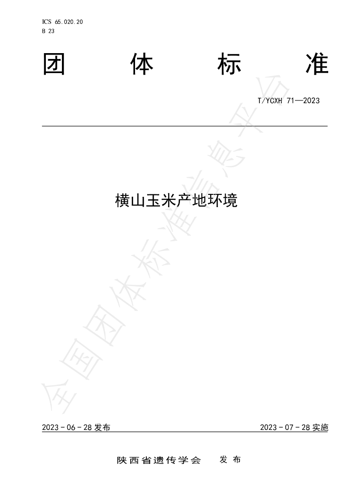 T/YCXH 71-2023 标准预览