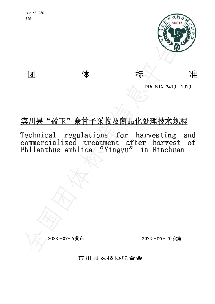 T/BCNJX 2413-2023 标准预览