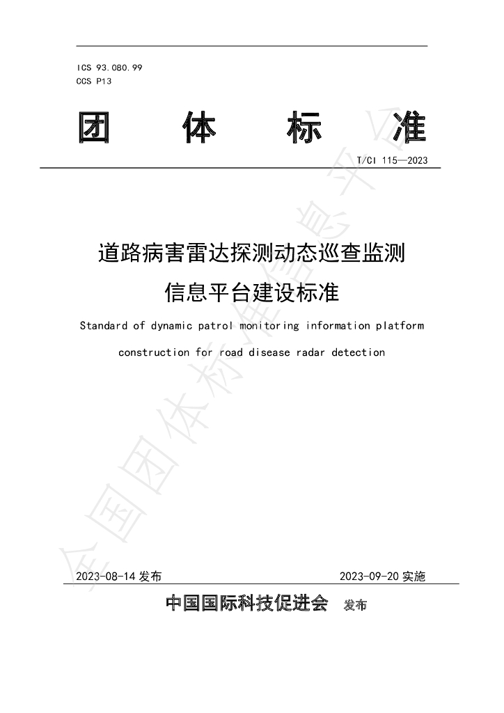 T/CI 115-2023 标准预览