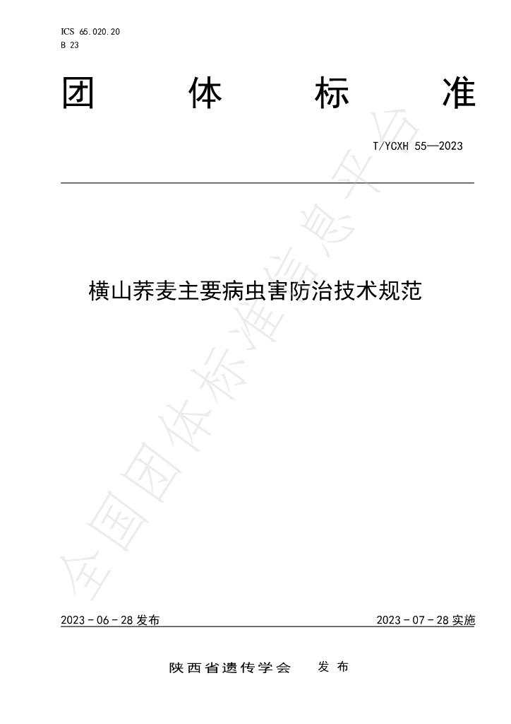 T/YCXH 55-2023 标准预览