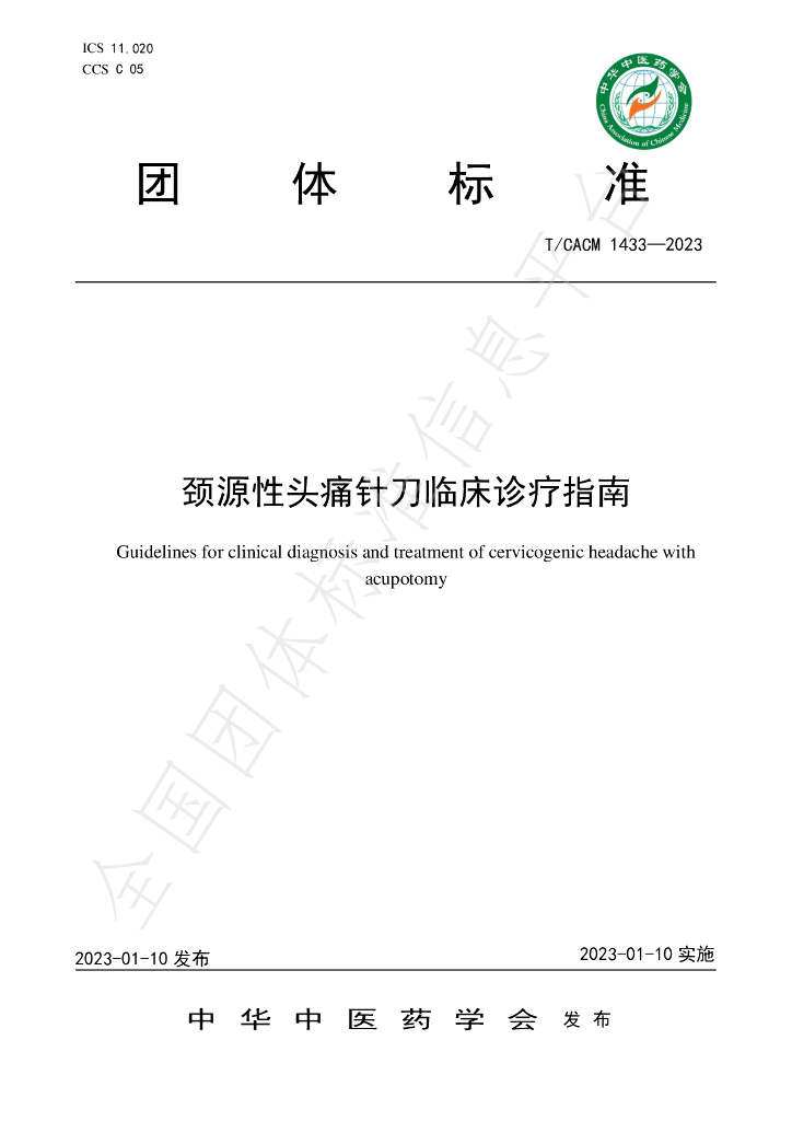 T/CACM 1433-2023 标准预览