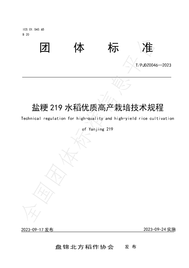 T/PJDZ 0046-2023 标准预览