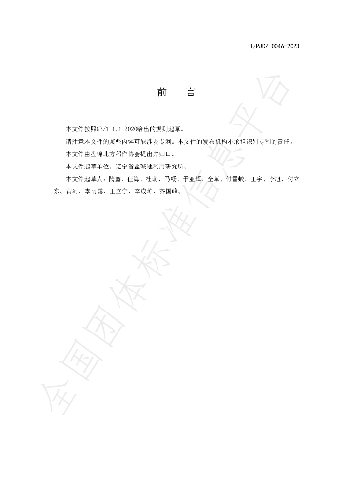 T/PJDZ 0046-2023 标准预览