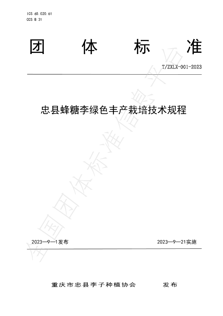 T/ZXLX 001-2023 标准预览
