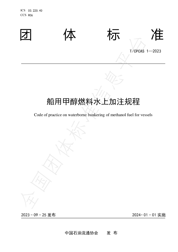 T/CPCAS 1-2023 标准预览