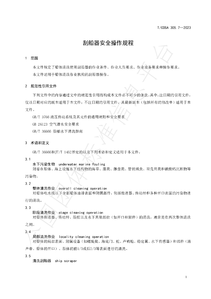 T/CDSA 305.7-2023 标准预览