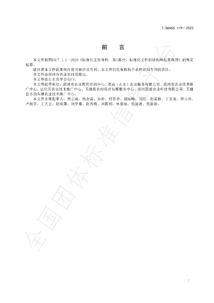 T/SAASS 119-2023 标准预览