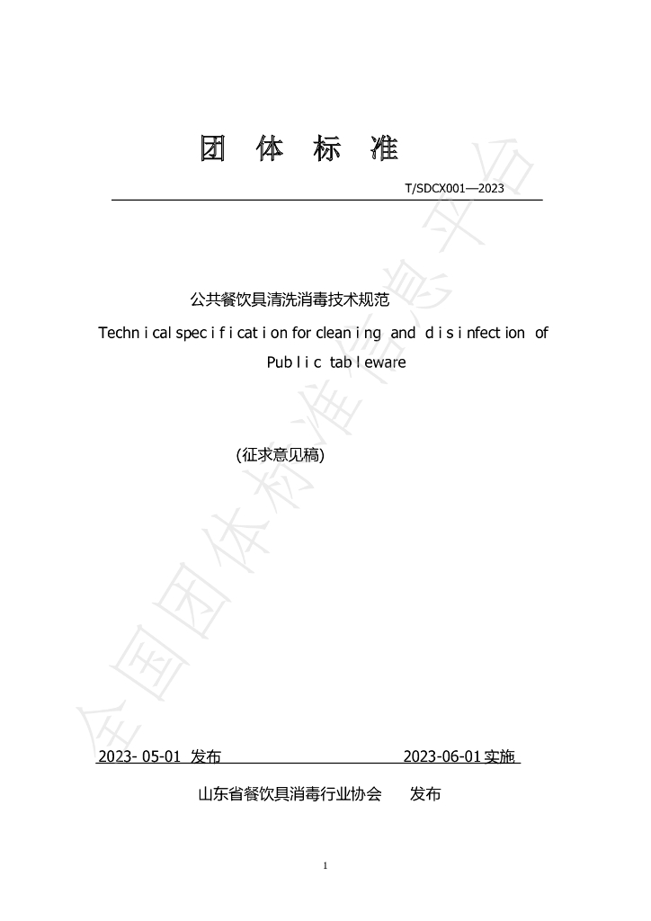 T/SDCX 001-2023 标准预览