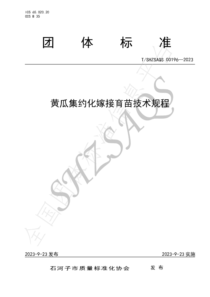 T/SHZSAQS 00196-2023 标准预览