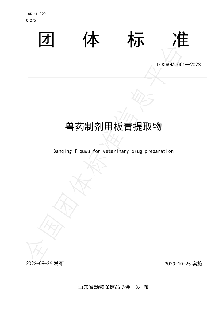 T/SDAHA 001-2023 标准预览