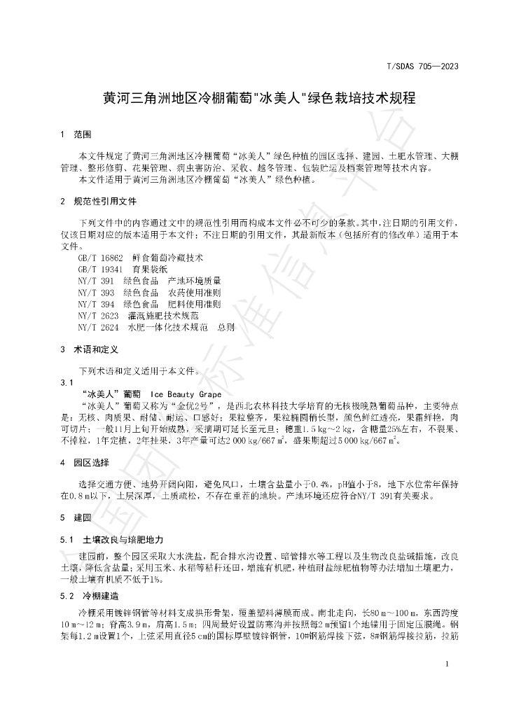 T/SDAS 705-2023 标准预览