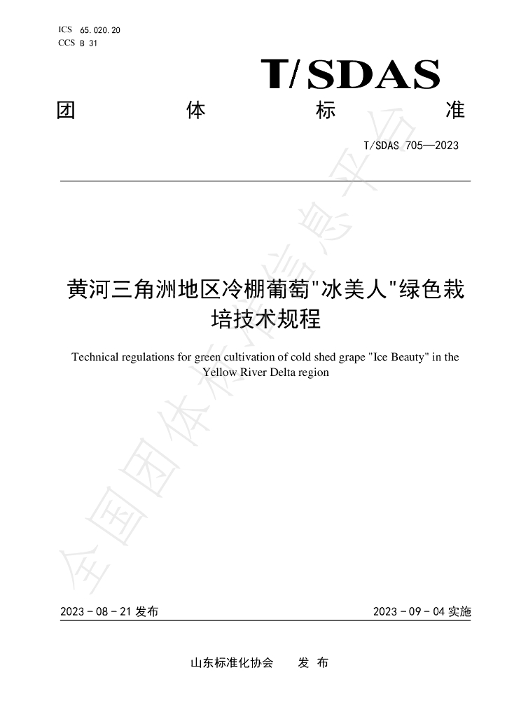T/SDAS 705-2023 标准预览