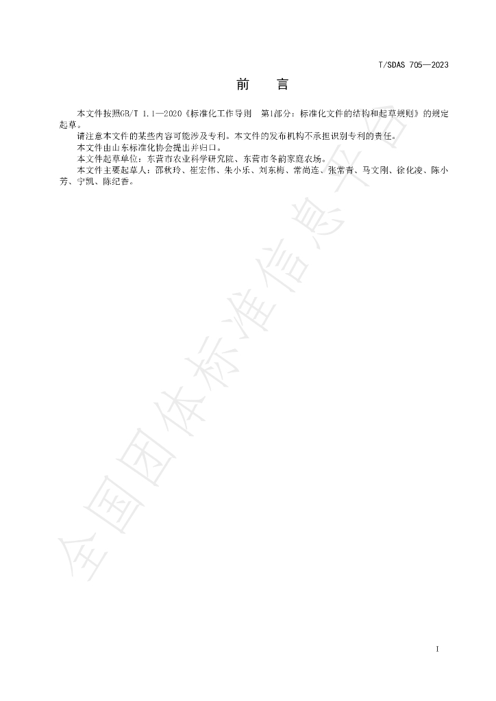 T/SDAS 705-2023 标准预览
