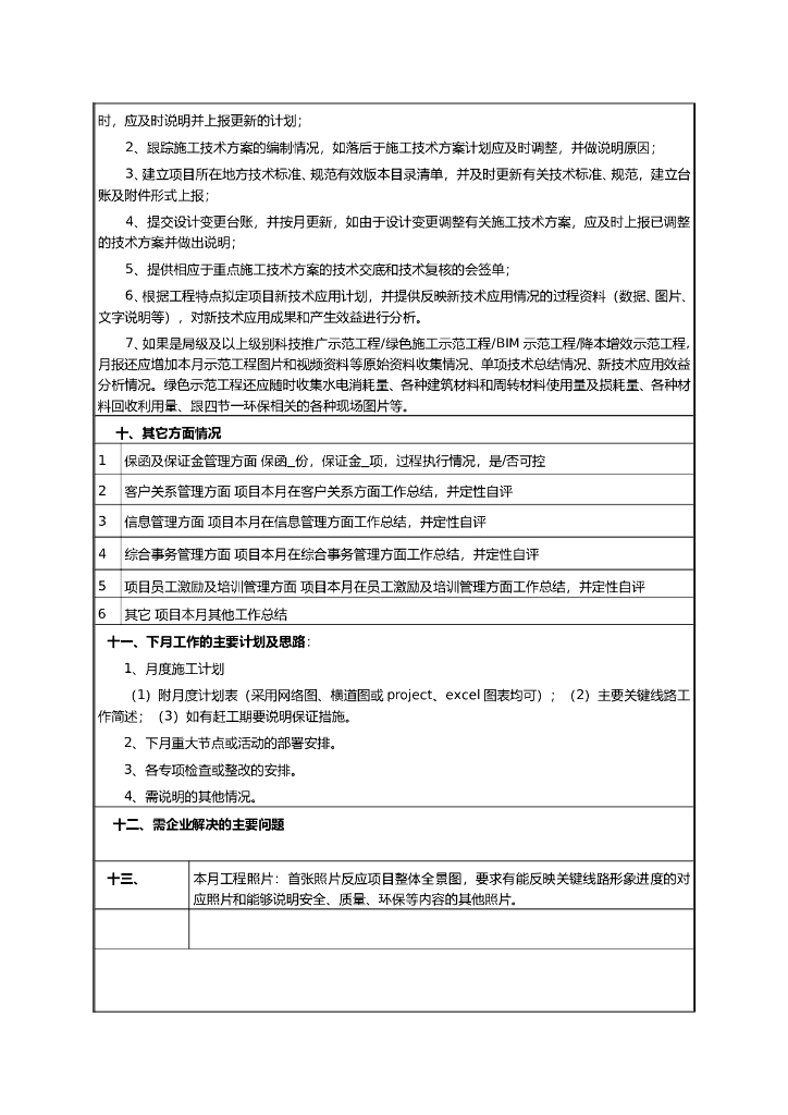 项目经理月度报告模板_第7页