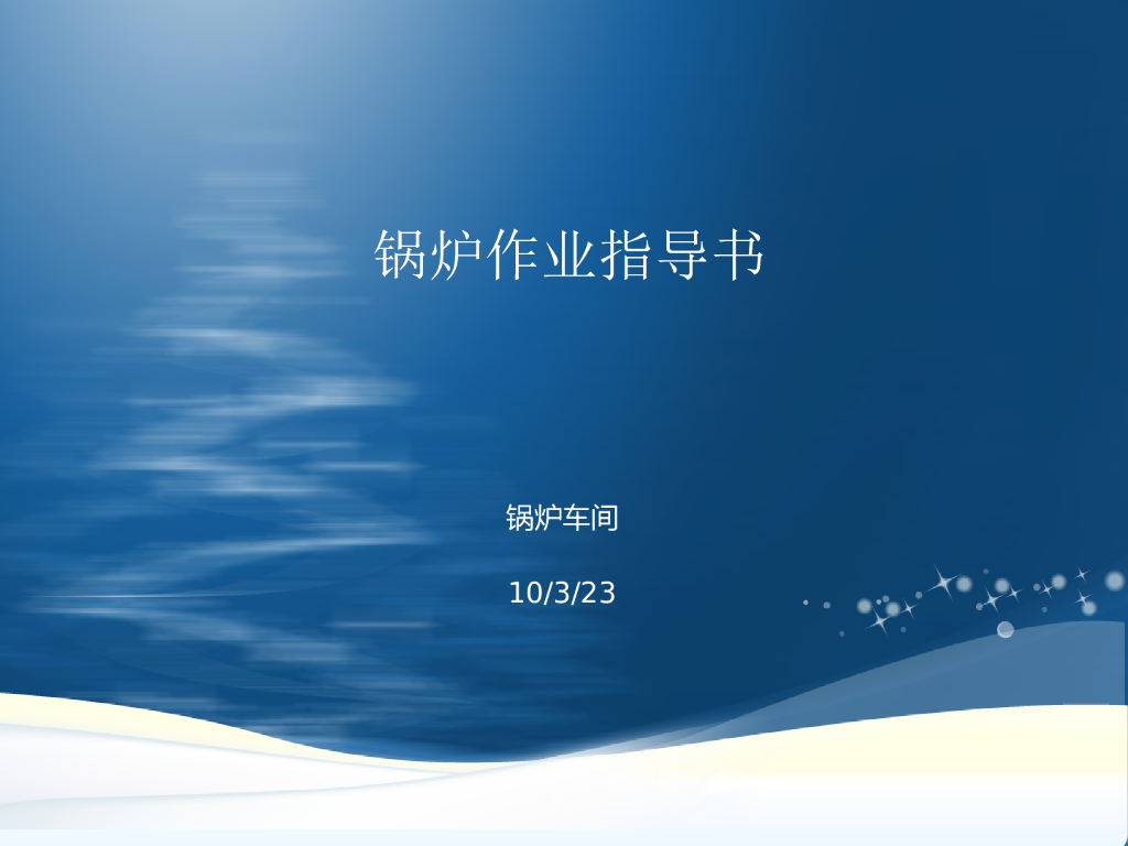 锅炉现场作业全套指导书