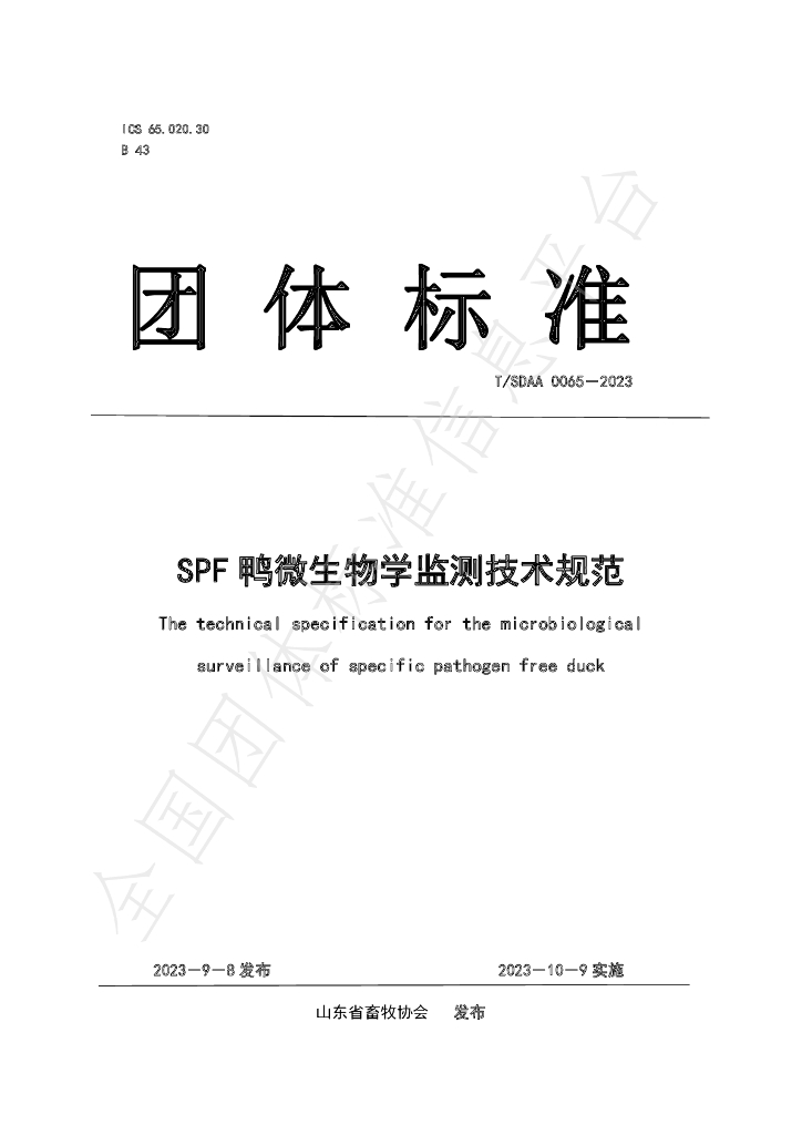 T/SDAA 0065-2023 标准预览