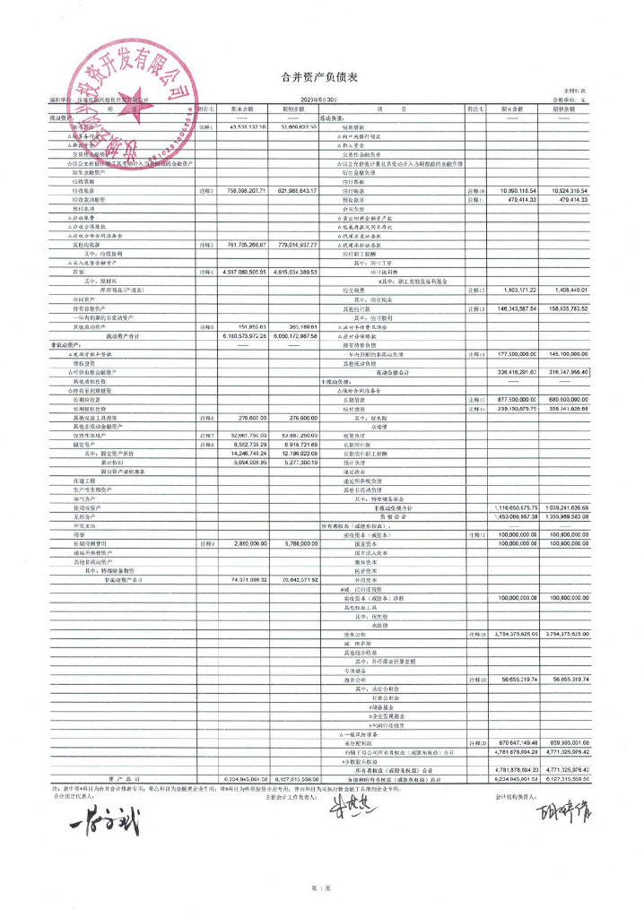 汝城县顺兴投资开发有限公司2023年合并中期财务报表及附注