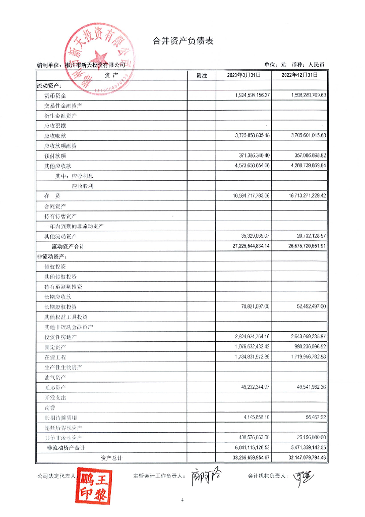 郴州市新天投资有限公司2023年一季度财务报表