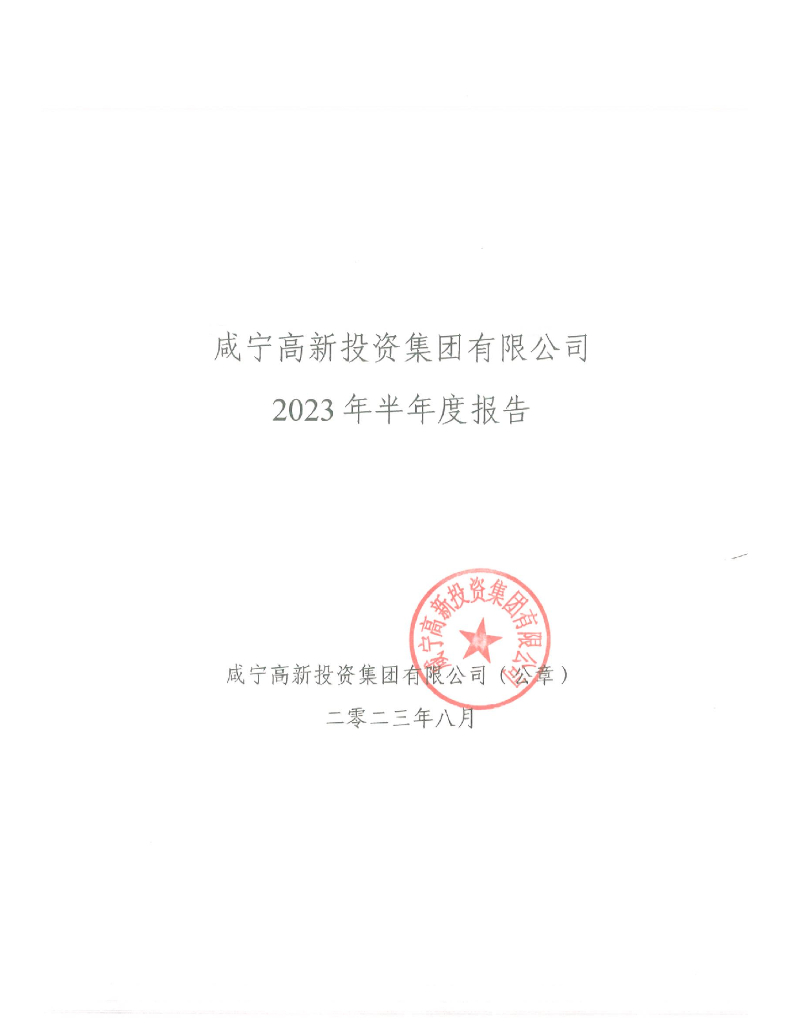 咸宁高新投资集团有限公司2023年半年度报告
