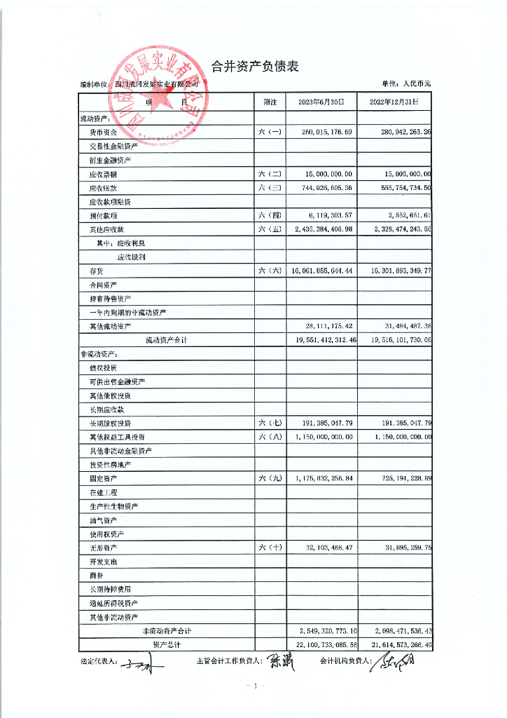 四川成阿发展实业有限公司2023年半年度财务报告及附注