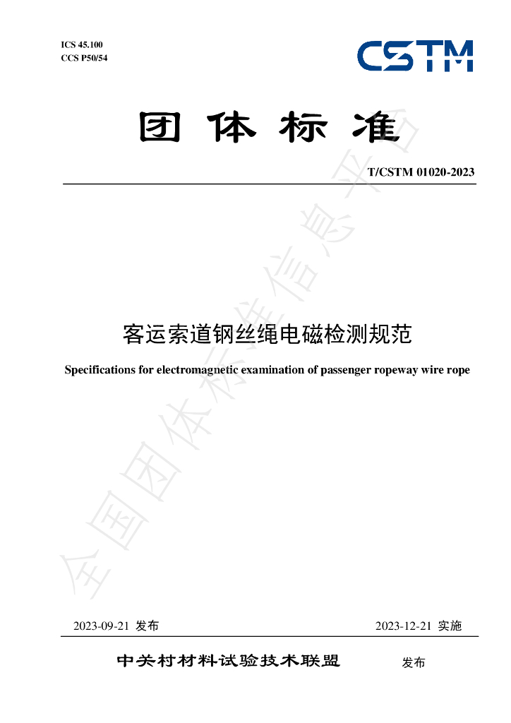 T/CSTM 01020-2023 标准预览
